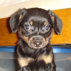 Meet your Posher, Jeric